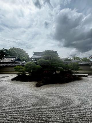 観智院の参拝記録(さくらさん)
