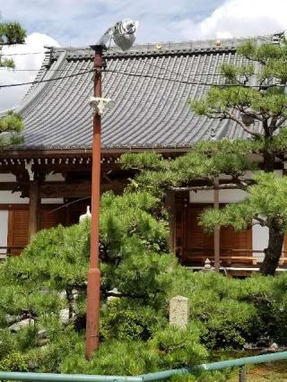 西福寺の参拝記録(ふみにゃんさん)