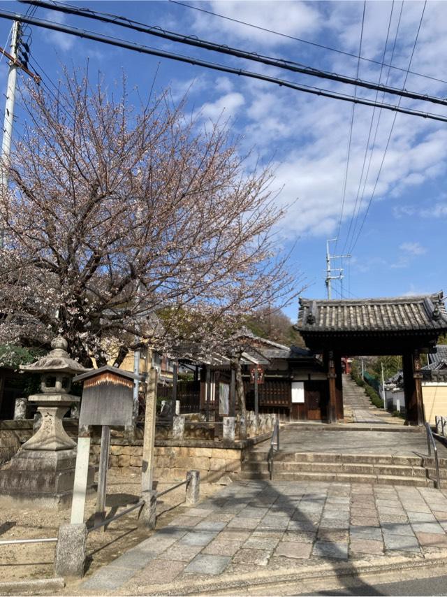 宝塔寺の参拝記録2