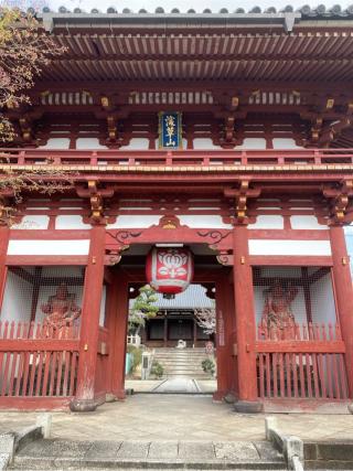 宝塔寺の参拝記録(フタバアオイさん)