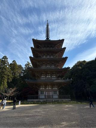 醍醐寺 三宝院の参拝記録(なるさん)