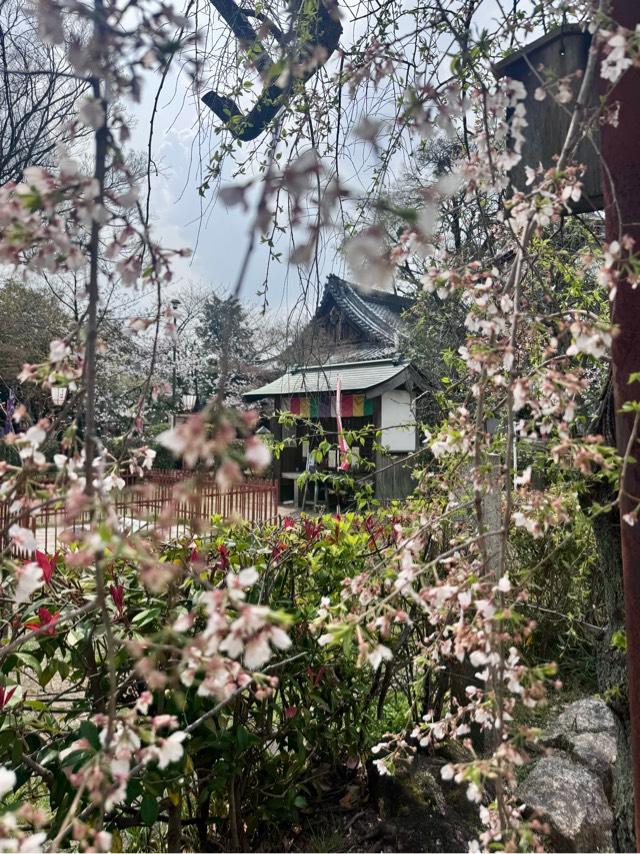 長建寺の参拝記録2