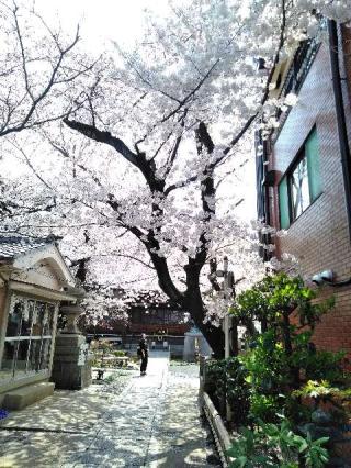 墨染寺の参拝記録(い〜さんさん)