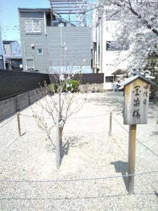 墨染寺の参拝記録(い〜さんさん)