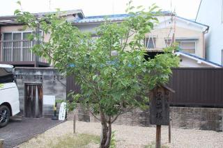 墨染寺の参拝記録(軍畑先輩さん)