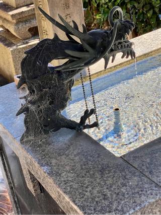 大専寺の参拝記録(さくらさん)