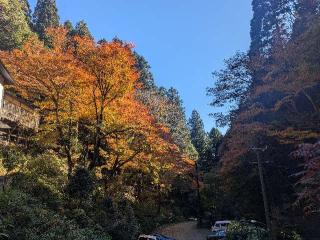岩屋山 金光峯寺 志明院の参拝記録(くまたろうさん)