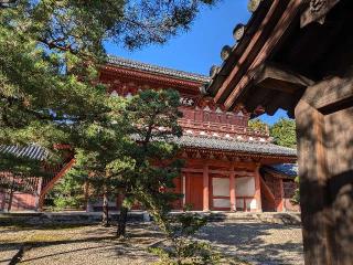 大徳寺の参拝記録(ひこにゃんさん)