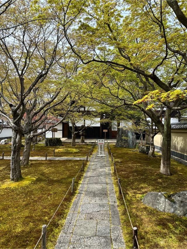 黄梅院の参拝記録6