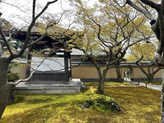 黄梅院の参拝記録(まーさんさん)