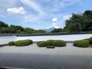 正伝護国禅寺の参拝記録(ぽんぽさん)