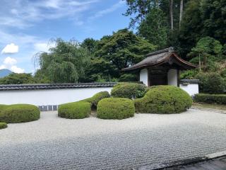 正伝護国禅寺の参拝記録(ぽんぽさん)