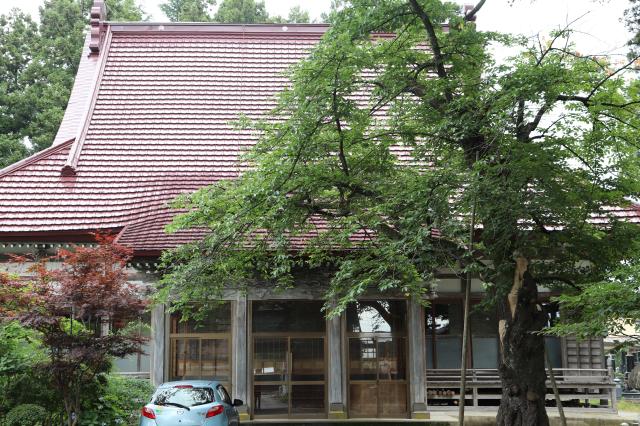 秋田県仙北郡美郷町六郷字東高方町51 浄光寺の写真1