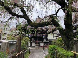 地蔵院(椿寺)の参拝記録(よっしぃさん)