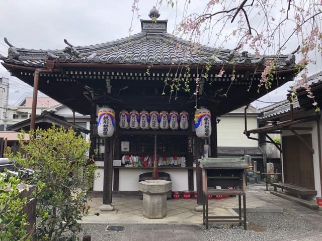 京都府京都市北区大将軍川端町2 地蔵院(椿寺)の写真4