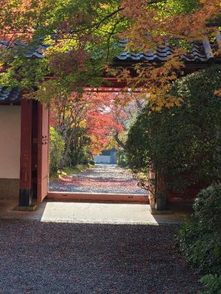 寂光山 常照寺の参拝記録(longironさん)