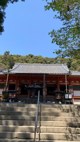 檜尾山 観心寺の参拝記録(なぁこさん)