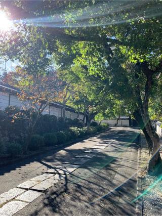 天野山 金剛寺の参拝記録(はまちゃんさん)