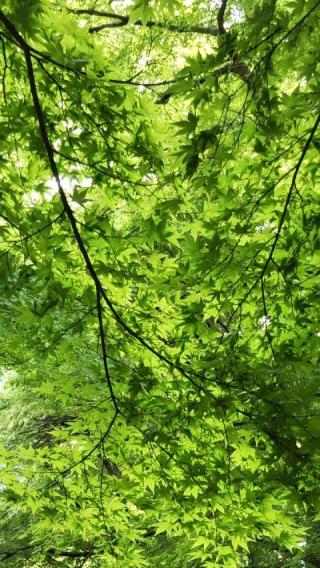 神於寺の参拝記録(あわらーさん)