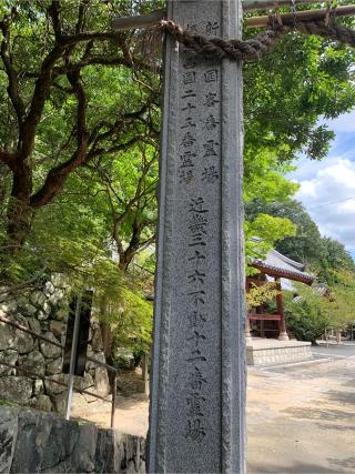 南山 般若院 安岡寺(高槻観音)(弘紹不動)の参拝記録(はまちゃんさん)