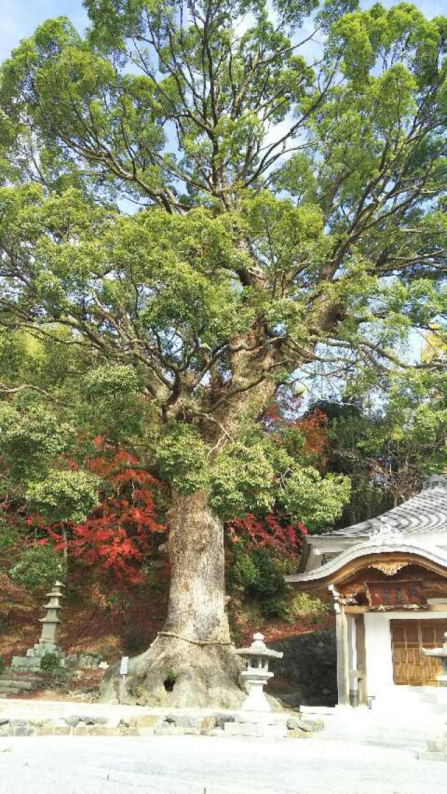 大阪府高槻市梶原2-9-12 昌林山 一乗寺の写真3