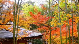 根本山 神峯山寺 寶塔院の参拝記録(布袋大国さん)