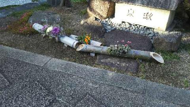 大阪府高槻市野田2-9-1 正覚寺の写真6