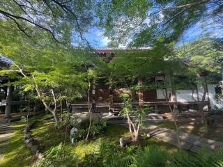 起雲山 龍尾寺の参拝記録(ととるしさん)