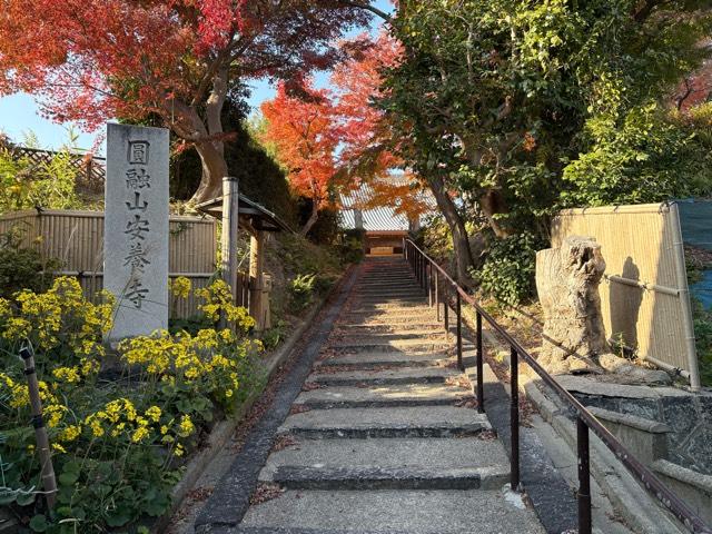圓融山 安養寺の参拝記録1