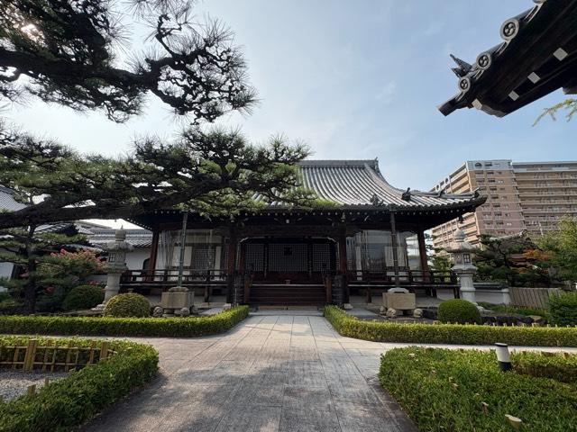 大阪府泉佐野市市場町1282-1 本覺山 大覚院  妙光寺の写真2