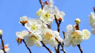 金熊寺観音院の参拝記録(布袋大国さん)