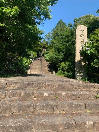 長慶寺の参拝記録(ももじりさん)