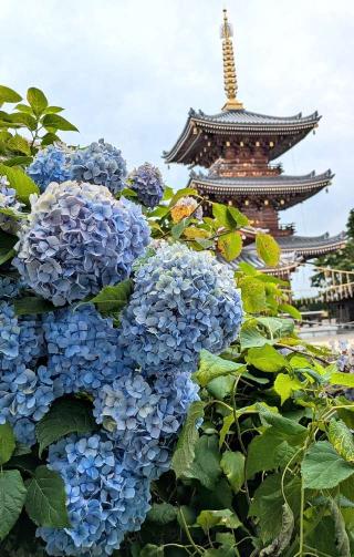長慶寺の参拝記録(ななめコロッケさん)