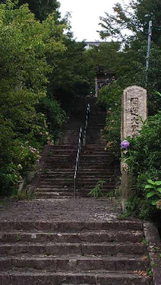 長慶寺の参拝記録(きんちゃんさん)