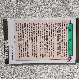 寶榮山 大日寺の参拝記録(ふみにゃんさん)