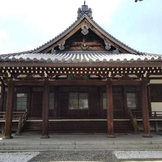 信光寺の参拝記録(ふみにゃんさん)