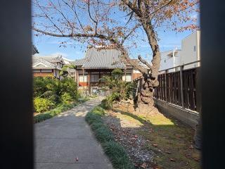 円光寺の参拝記録(ととるしさん)