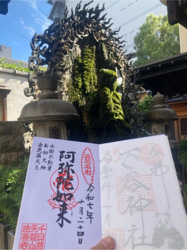 天龍山 法善寺の参拝記録10