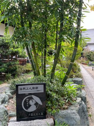 浄国寺の参拝記録(まきちゃんさん)