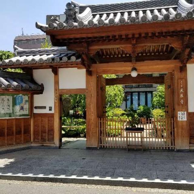 當麻山 観仙院 天性寺の参拝記録6