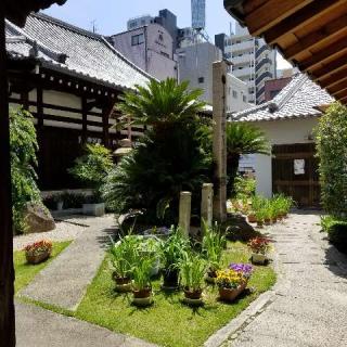 高北山 正念寺の参拝記録(ふみにゃんさん)