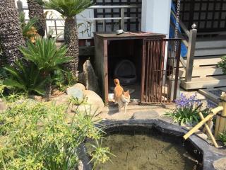 住法山 見知院 大善寺の参拝記録(ととるしさん)