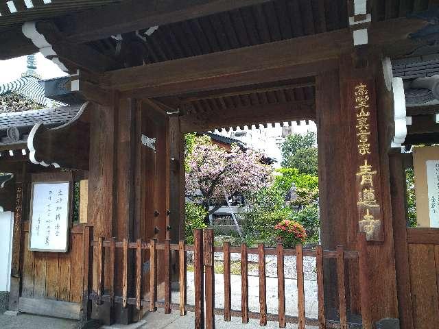 吉祥山 青蓮寺の参拝記録10
