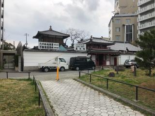 光徳山 瑞雲寺 真光院の参拝記録(なひりかさん)