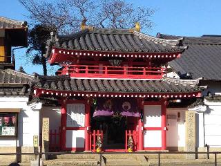光徳山 瑞雲寺 真光院の参拝記録(監督まっちゃんさん)