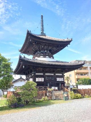 荒陵山 勝鬘院（愛染堂）の参拝記録(ペドロ蟲さん)