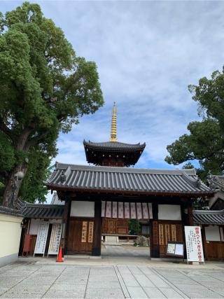 紫金山 小松院 法樂寺(たなべのお不動さん)の参拝記録(はまちゃんさん)