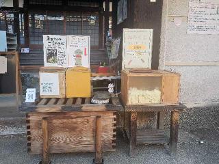 専念寺の参拝記録(すみれさん)
