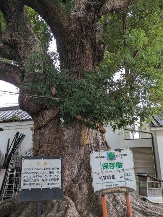 大念仏寺の参拝記録(たこやきさん)