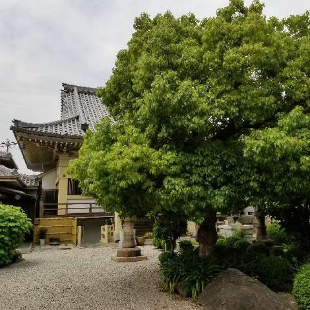 大阪府大阪市平野区平野本町1-5-13 光永寺の写真3